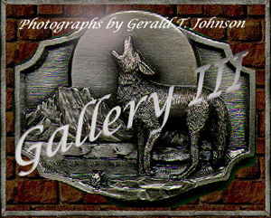 Gallery 3 Graphic