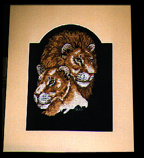 Lions Needlepoint